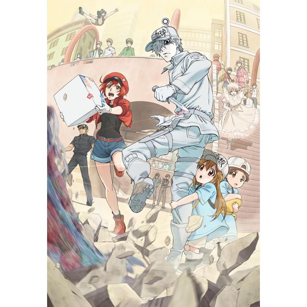 Bob the cells 7 (Fully Production Limited Edition) [Blu-ray]