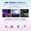Quietide Q6 Earplugs, Live, Ear Protectors, Hearing Disorder Prevention, For Those Who Enjoy Loud Music at Concerts, Festivals, Clubs, etc., Washable, Reusable, Carrying Case Included, Japanese Instruction Manual Included (English Language Not Guaranteed)