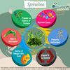Spirulina Powder