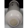 Watts AICRO Inline GAC Filter / RO Post Filter 1/4 FNPT Connection