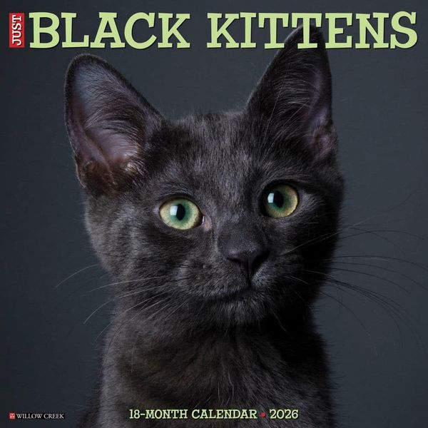 Black Kittens 2026 12" x 12" Wall Calendar
