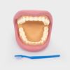 TickiT 03083 Giant Teeth Demonstration set