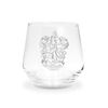 ABYSTYLE - Harry Potter Gryffindor & Slytherin 2 Glasses