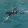 Shark Floatie: Pool Toy, Swimming Aid and Flotation Device
