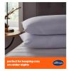 Silentnight Warm & Cosy Pillow Pair