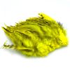 Hareline Strung 4-6" Grizzly Variant Saddle Hackle (Bright Yellow)