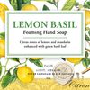 Michel Design Works Foaming Hand Soap, 17.80-Fluid Ounce, Lemon Basil