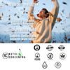 Brain Nutrients, Improve Cognitive Functions, Brain Food, 750 mg, 90 Capsules.