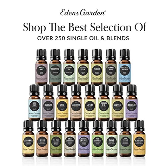 Edens Garden Shine Essential Oil Synergy Blend, 100% Pure Therapeutic Grade  (Undiluted Natural/Homeopathic Aromatherapy
