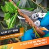 GRÜNTEK Secateurs BUZZARD, pruning shears anvil, TEFLON coated blade, garden pruner