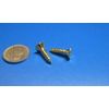 Brass #10  Phillips Flat Head Wood Screw x .750" Length,100Pcs