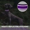 ATETEO Dog Collar,Reflective Adjustable Basic Dog Collar with Soft Neoprene Padding,Purple,Small Medium Large Dogs