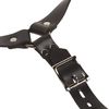 Strict Leather Harness with 3 Penile Straps