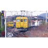 最後の国鉄形電車 後篇 JR西日本 [DVD]