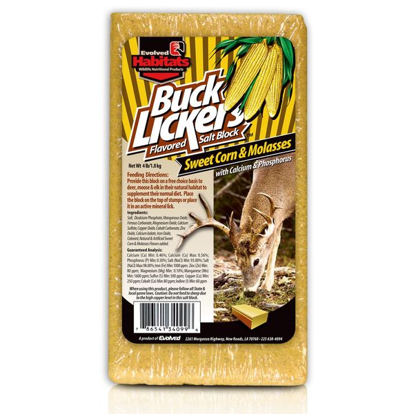 EVOLVED HABITATS Buck Lickers Sweet Corn & Molasses Flavored Salt Block 4 Lbs Mineral Deer Attractant - Ready & Easy to Use Time-Release All Year-Round Food Supplement for Deer, Elk & Moose