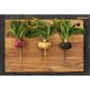 Certified Organic Tri-Color Gelatinized Premium Maca Powder