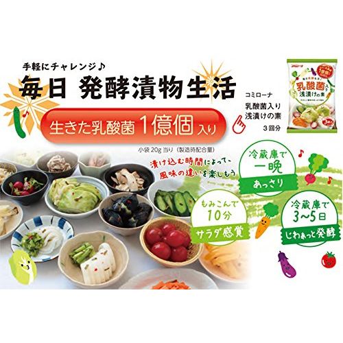 コーセーフーズ 乳酸菌入り浅漬けの素 60ｇ×10個セット