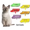 Dexil Colour Coded Cat Harness Warning Alert Vest Padded and Water Resistant Red CAUTION (S-M)