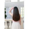 Priscilla TX-25 Super Easy Extension, Virgin Straight TX-25, Heat Resistant, TMGX, Mixed Ash Gold