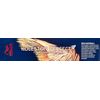 Koleston Perfect me+ Rich Naturals 8/38 60 ml, 8/38 hellblond Gold-perl