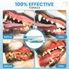 Enzymatic Toothpaste for Dogs, Poultry Flavour 70G