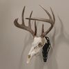 Allen Company EZ Mount Silhouette Skull Peg, Black