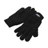 Result R147X Thinsulate Gloves, Black (schwarz),Large/X-Large