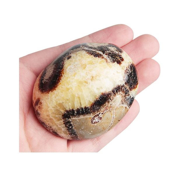 Acxico 1Pcs Septarian Crystal Dragon Stone Healing Crystals Yoga Reiki Meditation 3"