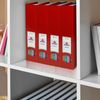 Acrimet Magazine File Holder, Durable Rack, Space-Saving Organizer (Plastic) (Solid Red Color) (2 pack)