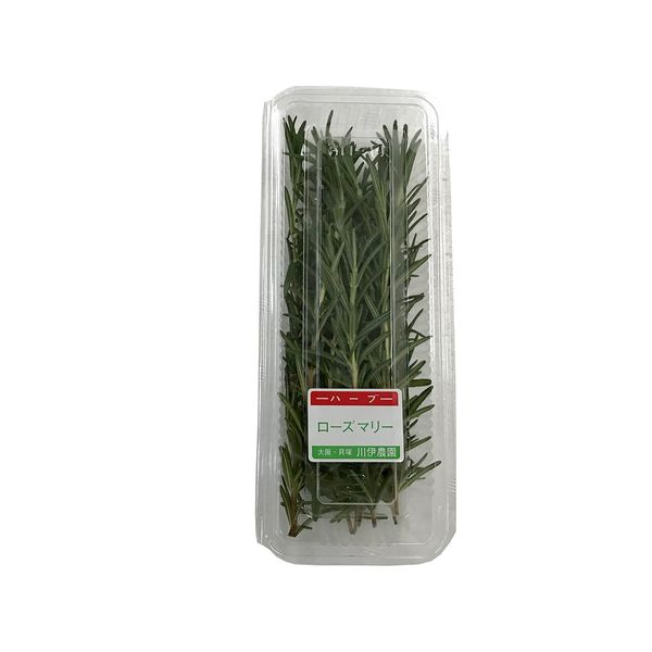 Osaka Domestic Herbs Rosemary, 1 Pack