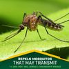 Repel Plant-Based Lemon Eucalyptus Insect Repellent, Mosquito Repellent, Pump Spray, 4 Ounce, (Pack of 2)