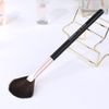 ENERGY Fan Highlighter Brush