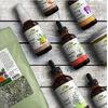 IMMUNI-TEA USDA Certified Organic Herbal Blend for Immune System Support USA