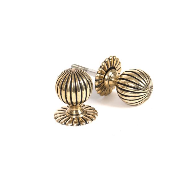 From the Anvil Aged Brass Flower Mortice/Rim Knob Set
