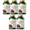 Irish Sea Moss Capsules 2250mg 5X180 Caps Bladderwrack/B