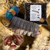 bugznbits Premium Millipede, Beetle & Woodlice Substrate (3 Litre)