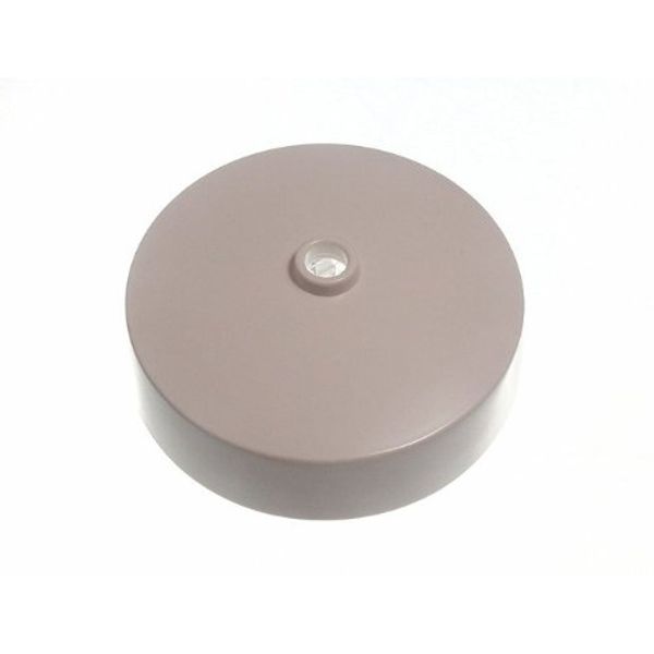 CEILING ROSE 250V 6 AMP