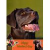 Chocolate Labrador Dog Mothers Day Card