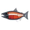 Buy One!! King Salmon Demolition Puzzle