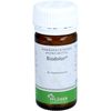 Biodolor Tablets Pack of 100