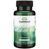 Swanson Super-Strength Water Pill 20 Milligrams 120 Capsules
