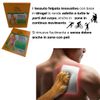 iger Balm Pain Relieving Patch Large 4 Each (Pack of 11)