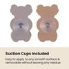 Lindo Ultra Soft Toothbrushes with Koala Bear Toothbrush Holders (Koala Gray)
