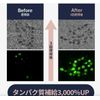Anobu Deep Damage Treatment EX 7.1 fl oz (207 ml)