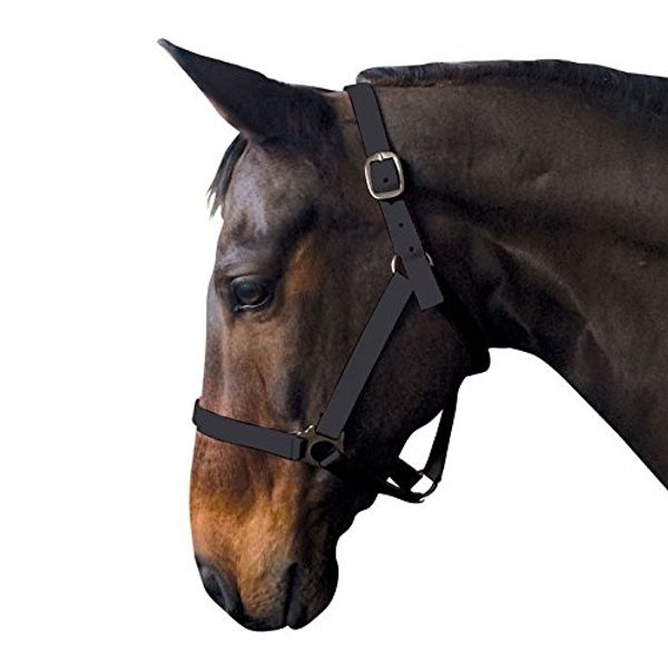 Requisite Econ Head Collar Horse Riding Accessories Headcollar Black Cob