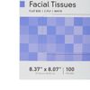 McKesson 2-Ply Facial Tissue Flat Box 100 Count 1 Flat Box