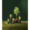 Cannabis Green Lab Nutri-Energy Mask 150 ml