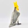 BH6470 HANSA オカメインコグレー18