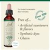 Bach Original Flower Remedies Centaury Be Assertive 0.7 fl oz 20mL
