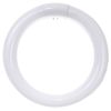 Sunlite 22 Watt T9 Lamp Daylight